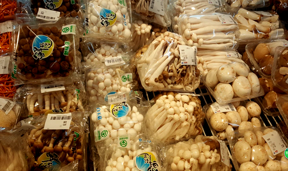 菌包市场需求旺盛 自动生产线增强经济效益